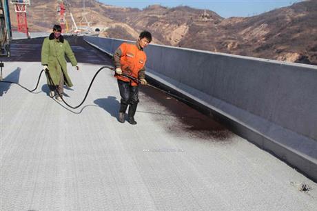 桥梁及隧道用防水涂料